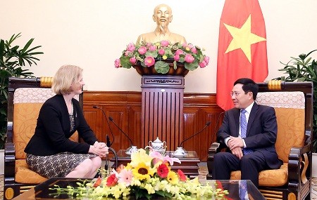 Vizepremierminister Pham Binh Minh empfängt die neuseeländische Botschafterin - ảnh 1